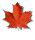 MapleLeaf.gif (1356 bytes)