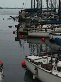 harbor.jpg (65425 bytes)