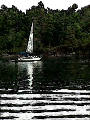 safeharbor.jpg (92730 bytes)